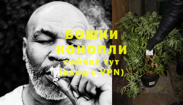 не бодяженный Заводоуковск
