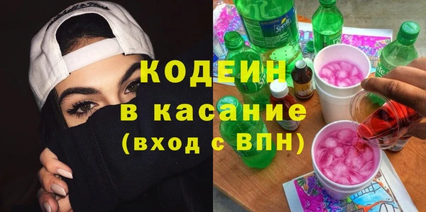 не бодяженный Заводоуковск