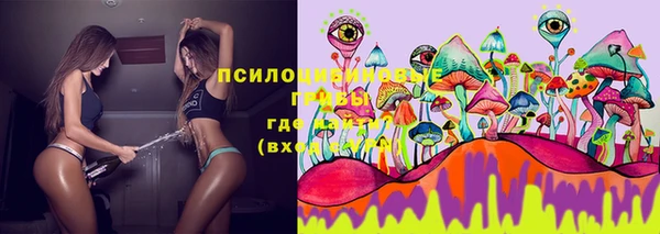 не бодяженный Заводоуковск